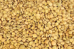 کشف و پلمب انبار احتکار  عدس در اصفهان