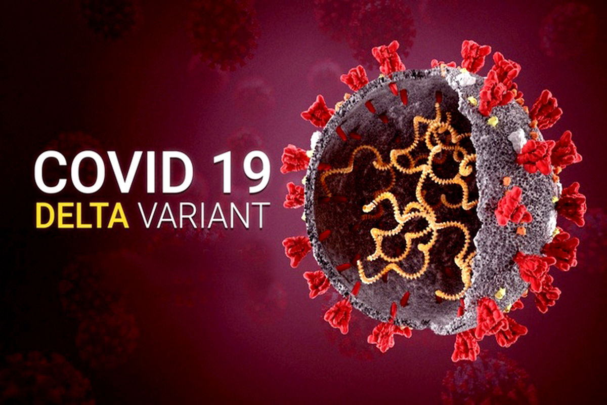 کرونای دلتا در مشهد