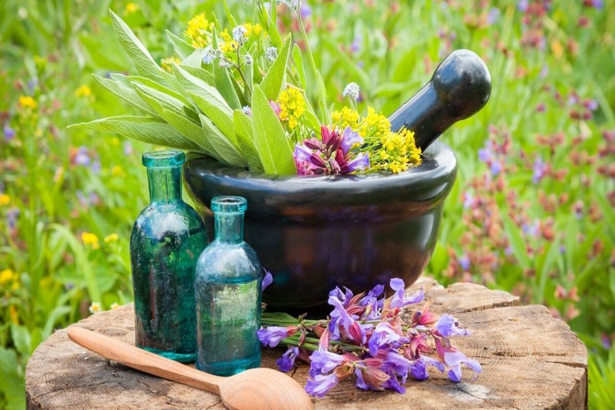 گیاهان دارویی خراسان رضوی