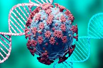 جهش جدید کرونا ۱۰ درصد بیشتر از مسری‌ترین سویه کرونا قابلیت انتقال پذیری دارد