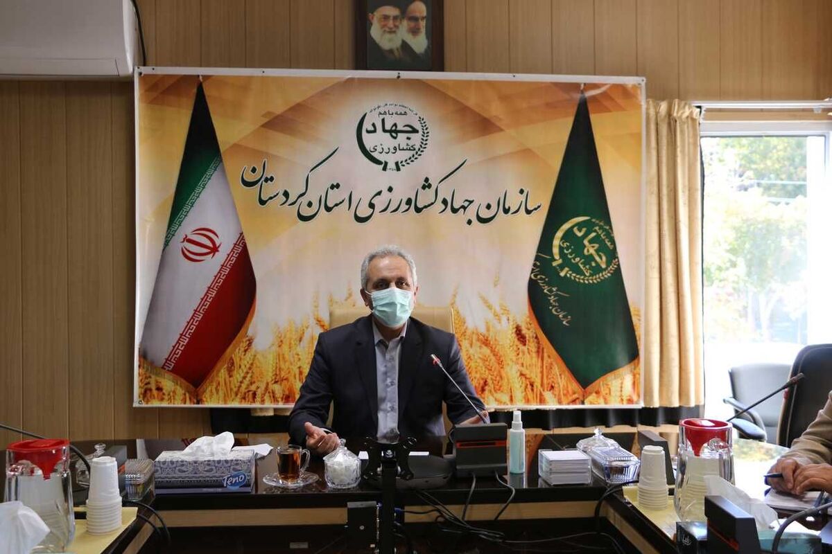 فرید سپری