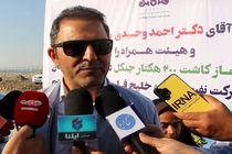 کاشت جنگل‌های حرا هزینه نیست، سرمایه‌ای برای آیندگان است