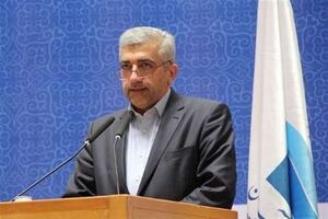 وزیر پیشنهادی نیرو دو تابعیتی بودن خود را تکذیب کرد