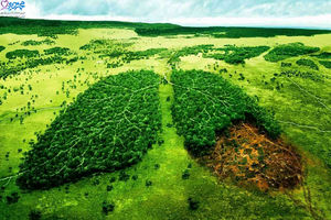 سهم انتشار عوامل آلاینده شهر همدان مشخص می شود