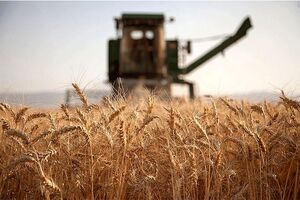هیچ بهانه ای برای تاخیر در پرداخت پول گندم کشاورزان قابل قبول نخواهد بود
