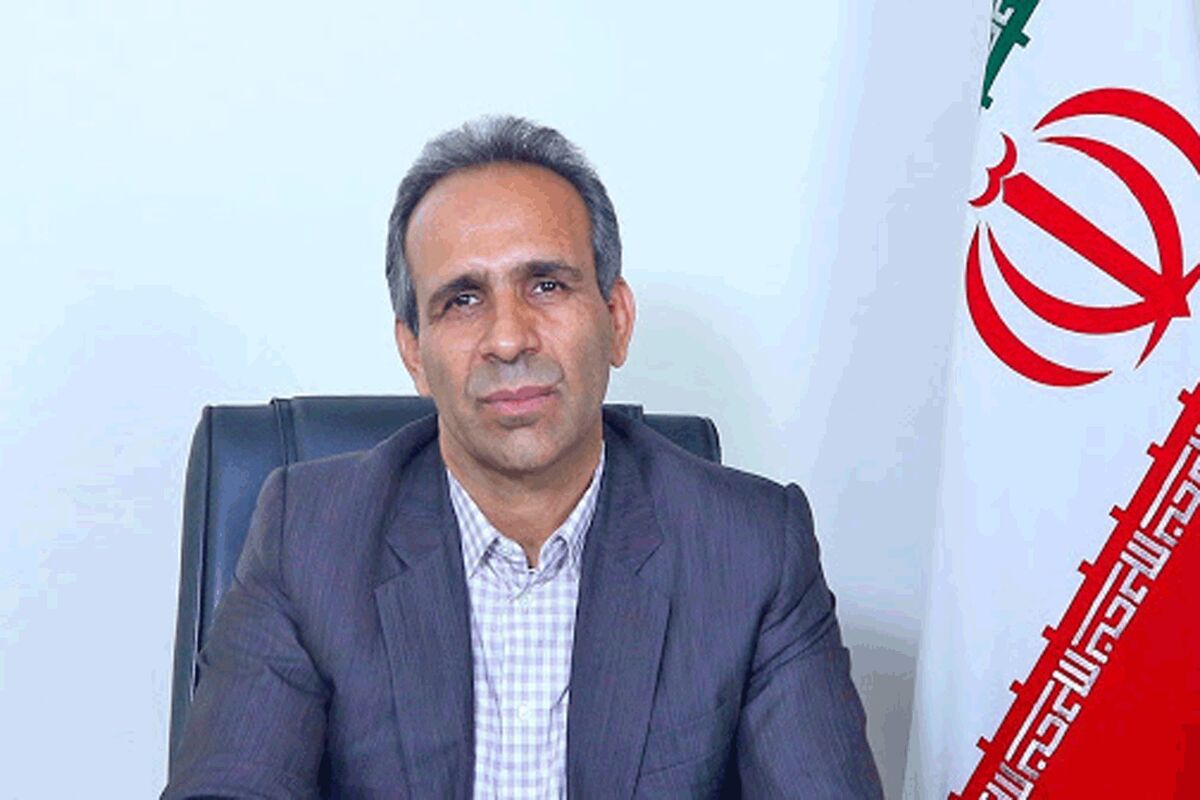 مدیر عامل شرکت سرمایه گذاری صدر تامین