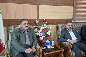 سرمایه‌گذاران غیرفعال در کوثر مشمول ماده ۴۸ قانون خواهند شد