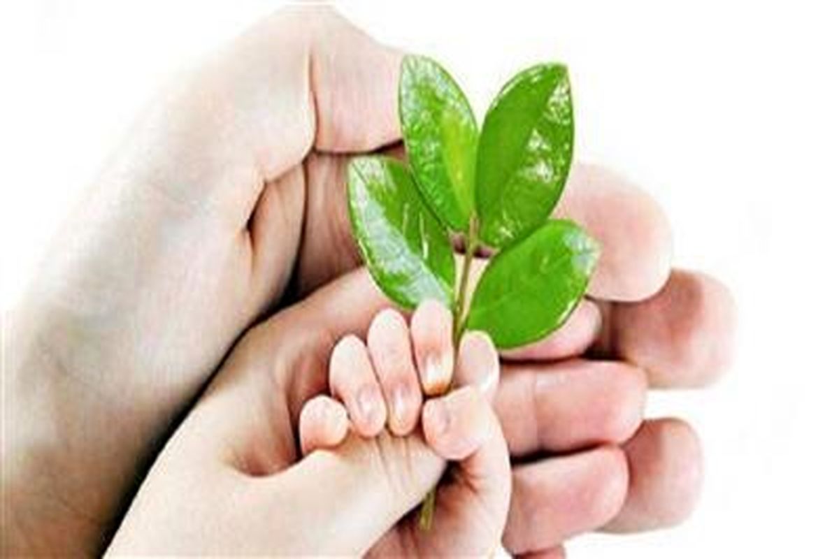 سرمایه‌گذاری