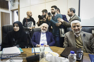 ظریف نظر بخش عمده ای از اعضا را در ارتباط با لایحه پالرمو مثبت کرد