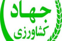 خسارت به بخش کشاورزی همدان به مبلغ 143 هزار و 580 میلیون ریال رسیده است 