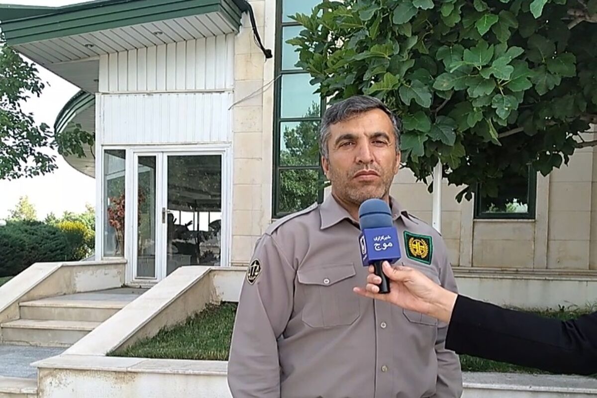 محمدی