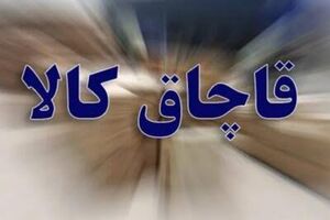 کشف ۲۸ و نیم میلیارد تومان کالای قاچاق و احتکارشده در اردبیل