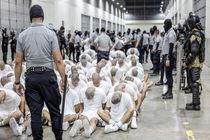 شورای کاخ سفید در حال بررسی امکان اعزام مجرمان آمریکایی به زندان السالوادور هست