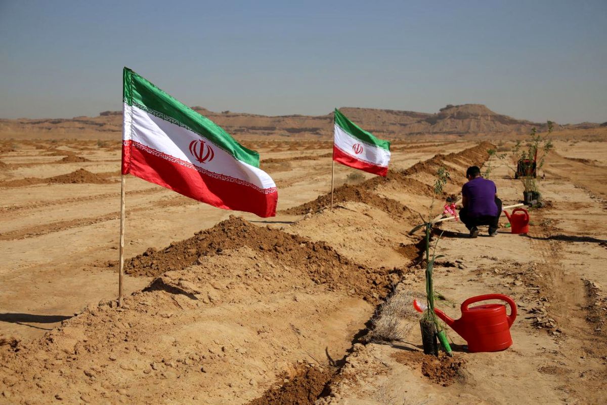 نهال کاری بانک مهر اقتصاد