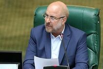 دولت و بانک مرکزی به پیشنهادات مجلس برای حل مشکلات توزیع نهاده های دامی توجه کنند