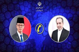 گفت و گوی تلفنی وزیر امور خارجه با وزیر خارجه اندونزی