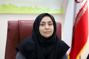 50 درصد بار درمانی بر دوش تأمین اجتماعی است