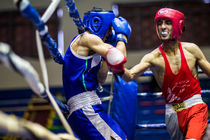 آغاز لیگ بوکس جوانان از یازدهم مرداد ماه