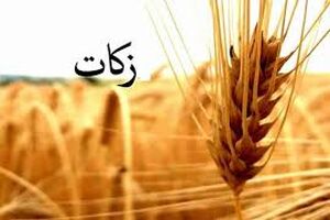 ۲۶ درصد افزایش پرداخت زکات در هرمزگان