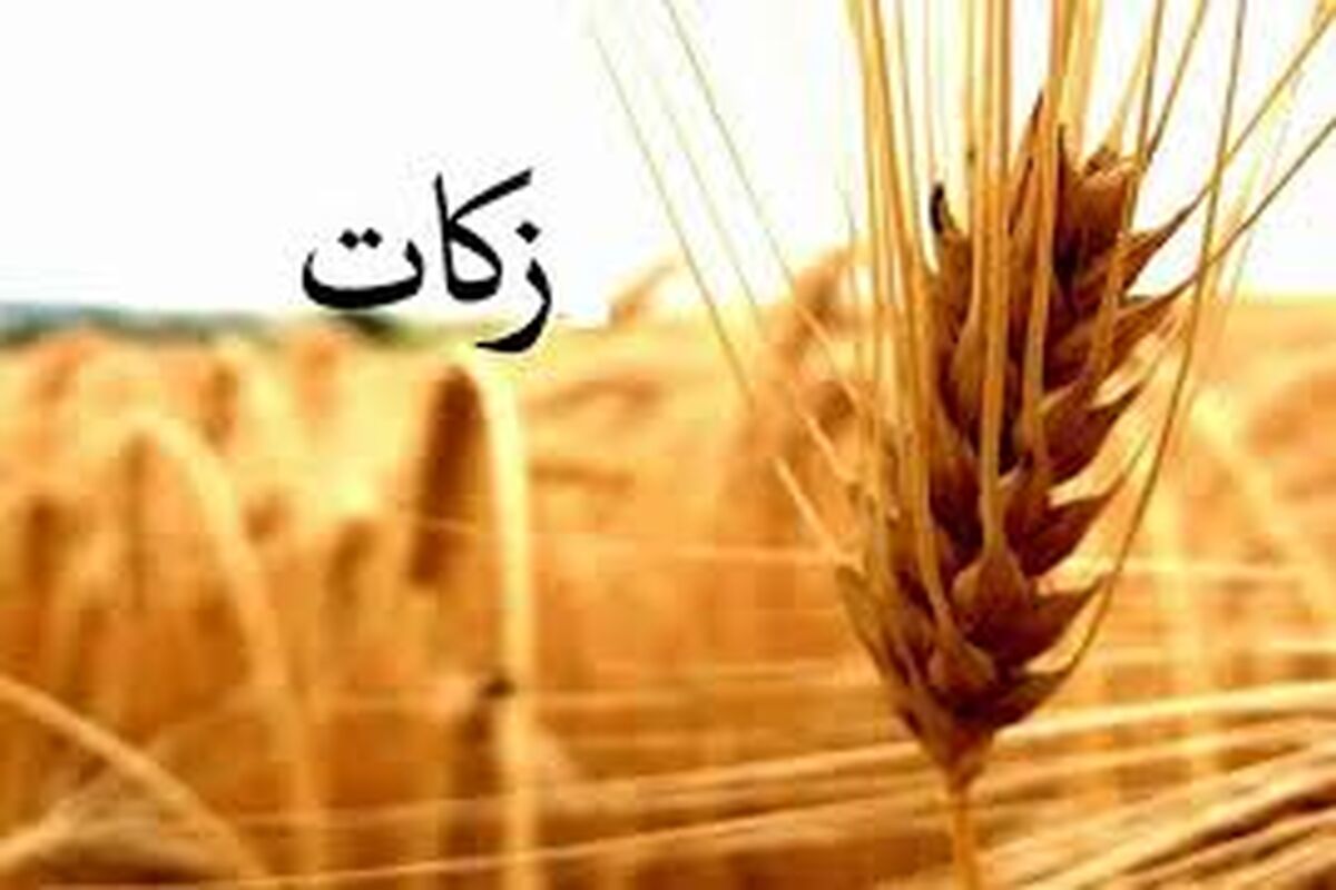 زکات در هرمزگان 