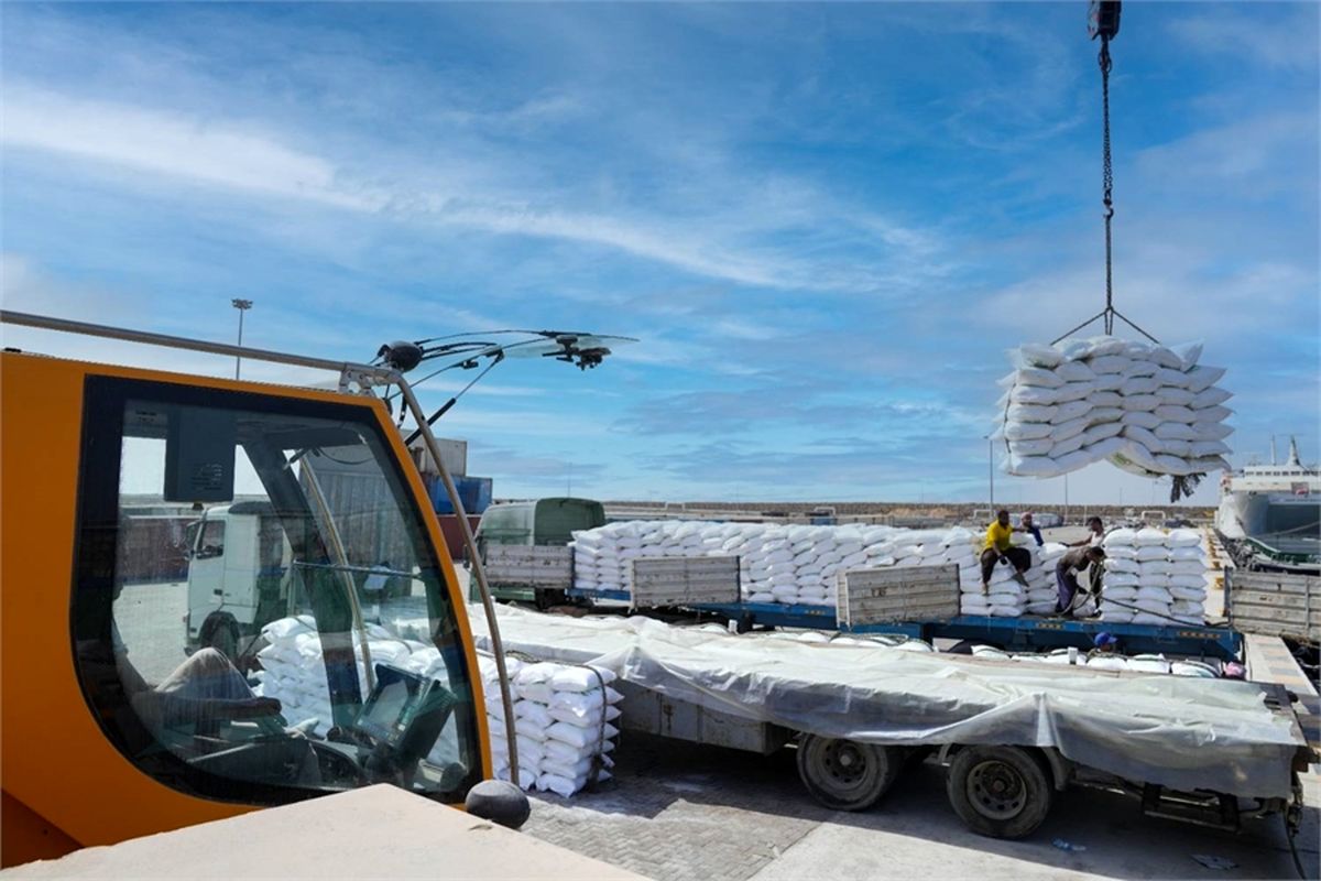 سازمان بنادر