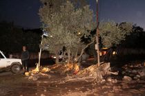 خسارت 16 میلیارد و ۲۰۰ میلیون ریال سیل در رودبار/سیل هفته گذشته رودبار خسارت جانی نداشت