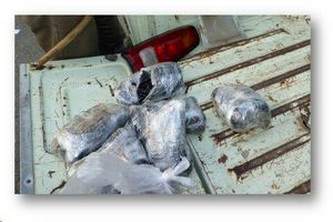 کشف 21 کیلوگرم تریاک در رودبار