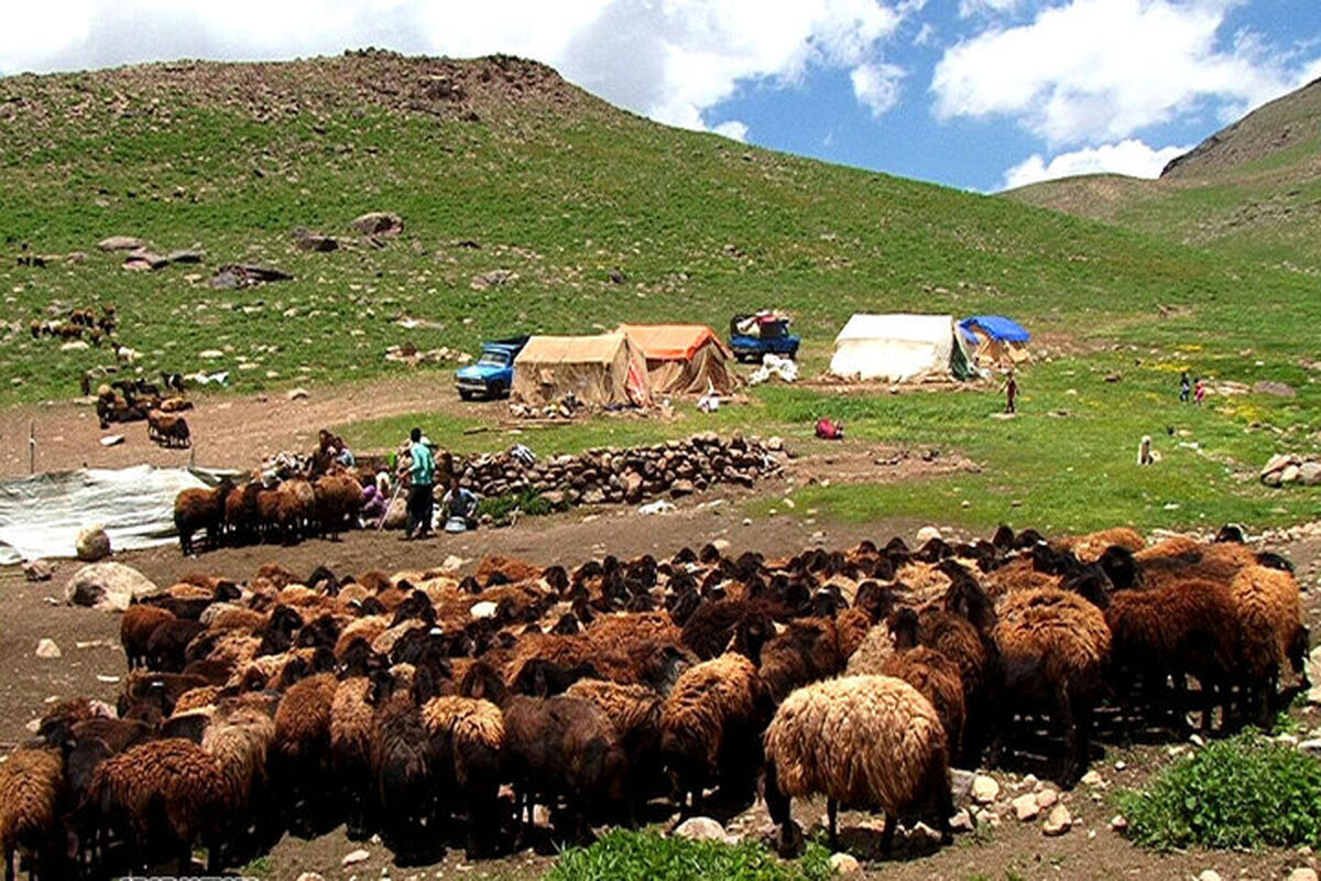 نهاده‌ دامی عشایر