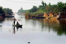  سیاست کشاورزی پایدار استفاده زنجیروار از زهاب ها است/اجرای طرح پرورش ماهی با زهاب نیشکر برای اولین بار در ایران 