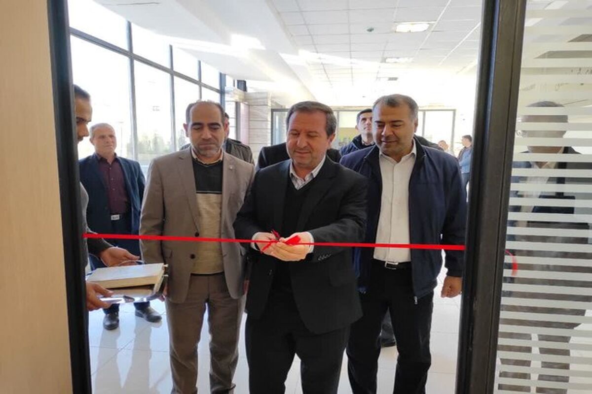 دانشگاه سهند