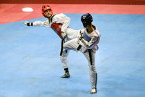 سه تکواندو‌کار فارس به اردوی تیم ملی دعوت شدند 