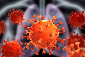 تایید ۵ مورد ابتلا به کرونای انگلیسی در استان کرمان