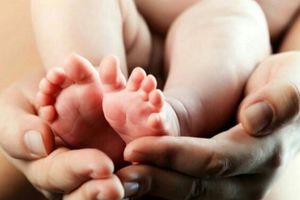 ثبت  36 لقاح موفقیت آمیز در مرکز درمان ناباروری هرمزگان