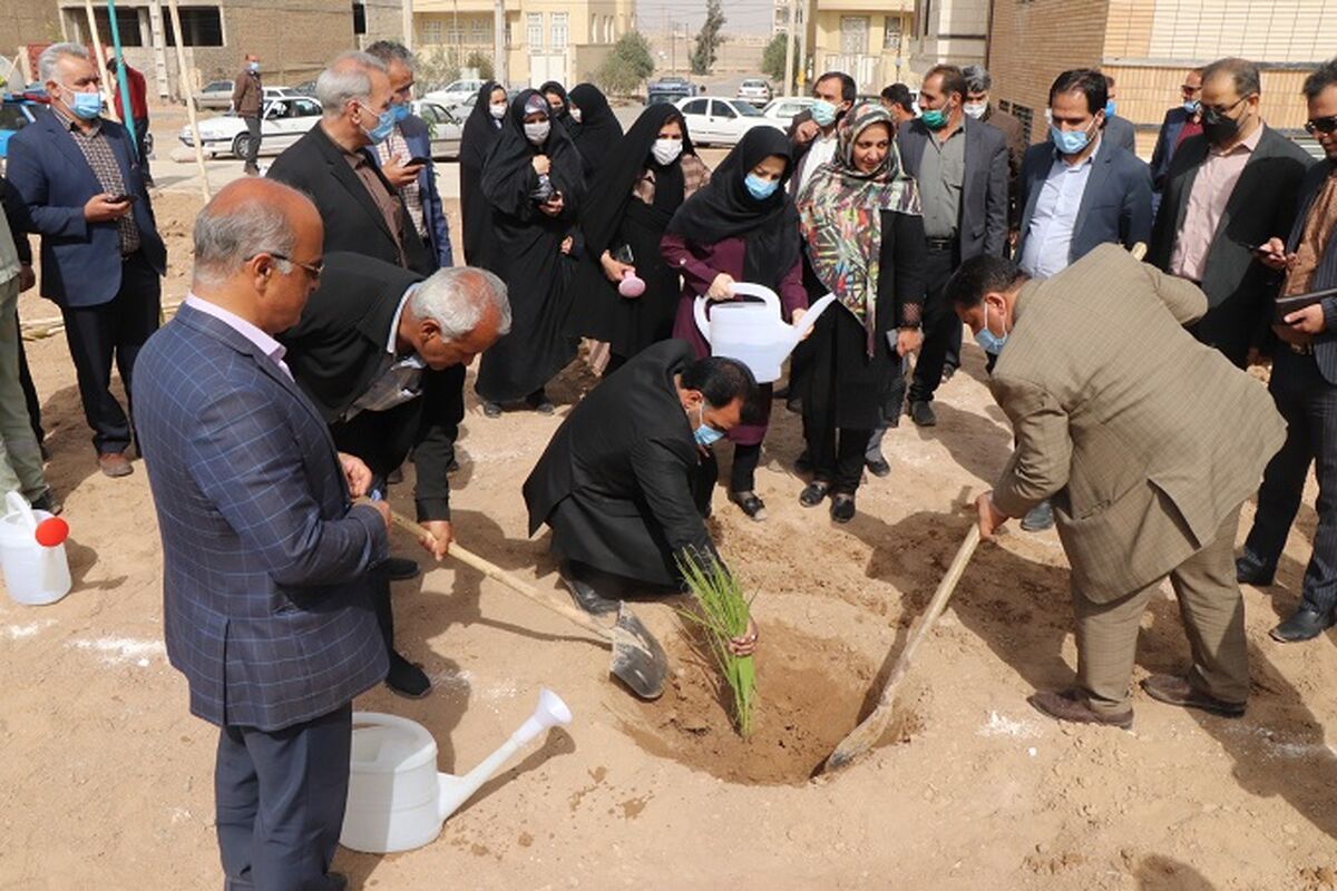 درختکاری