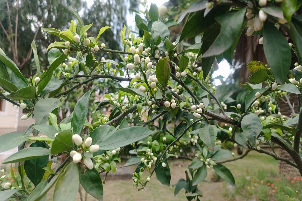 هواشناسی گیلان