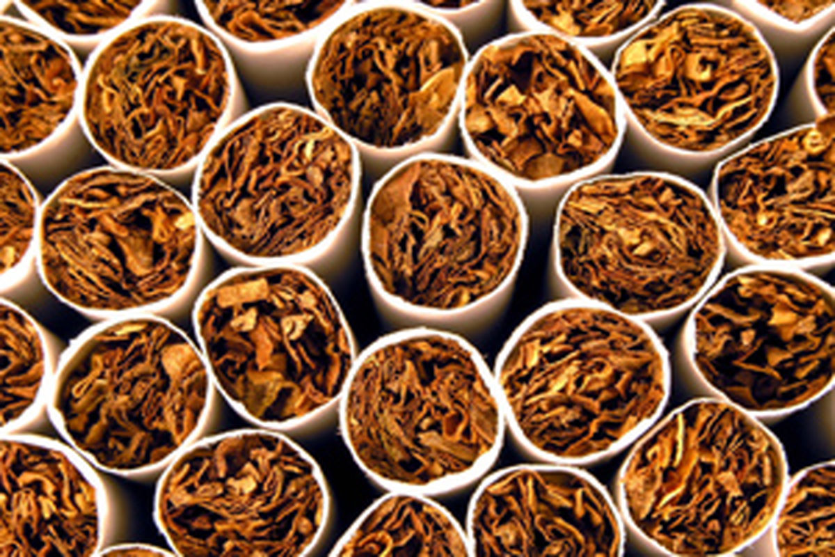 اصفهان- تنباکوی مارک جعلی