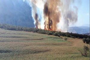 آتش سوزی در منطقه شیمبار مهار شد