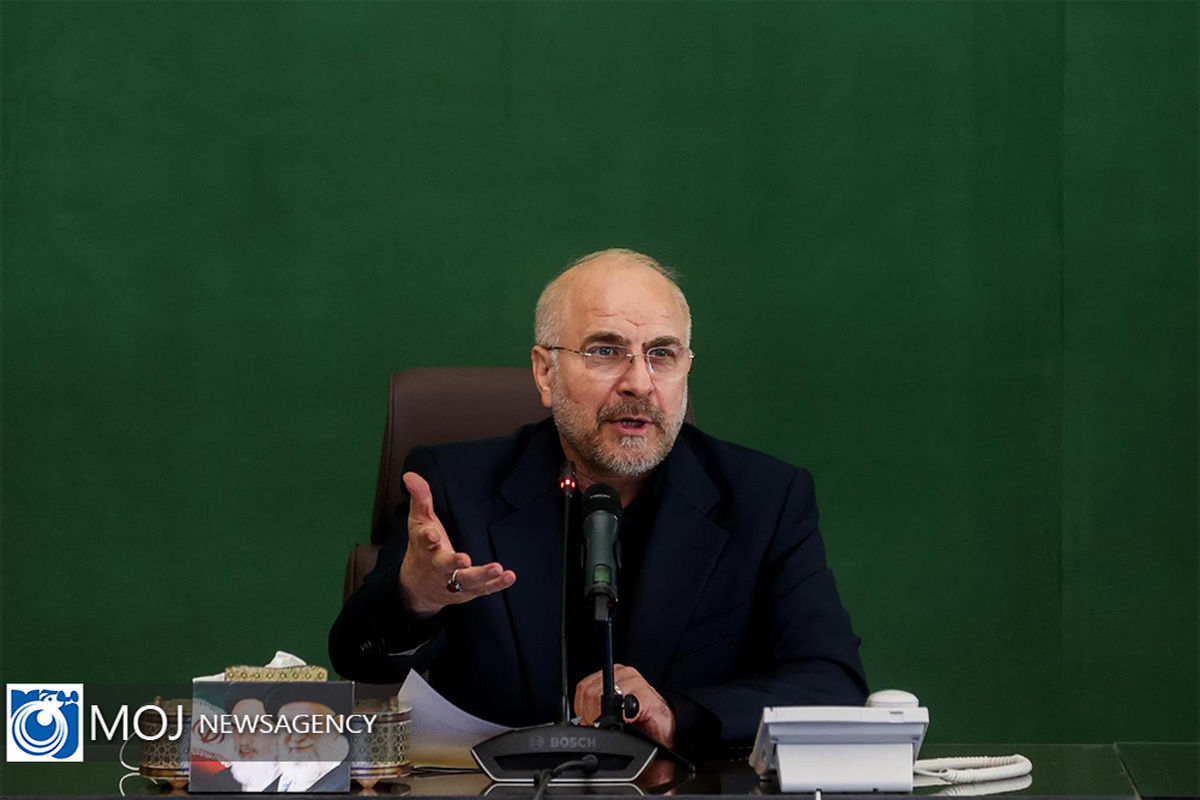 نشست معاونان پارلمانی دولت با رییس مجلس