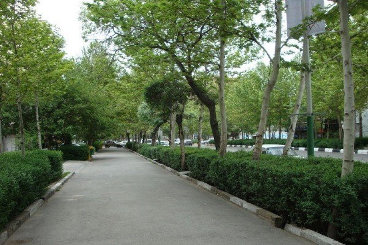 خیابان کوهسنگی مشهد