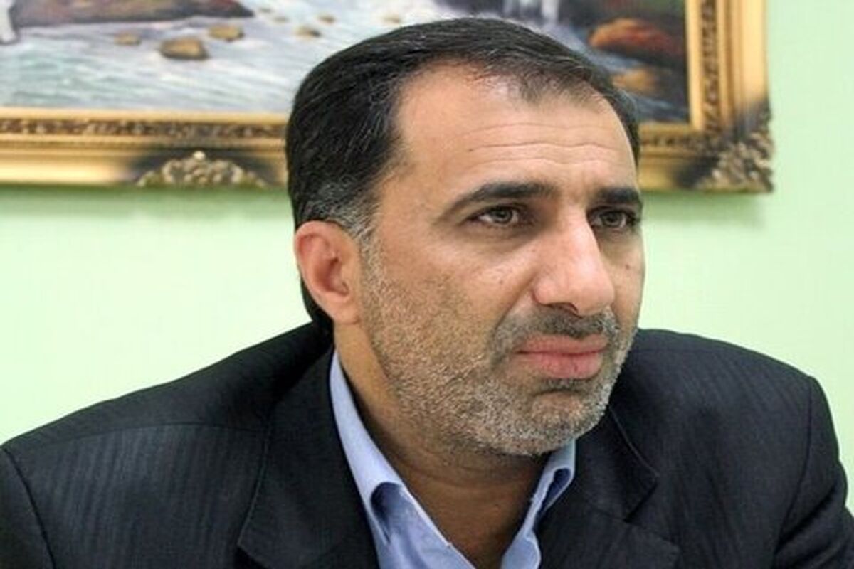 نائب رئیس کمیسیون فرهنگی مجلس سید کریم حسینی