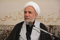 هم افزایی رسانه های انقلاب اسلامی برای برپایی اربعین 