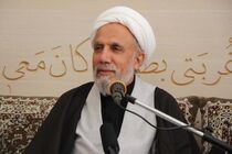 هم افزایی رسانه های انقلاب اسلامی برای برپایی اربعین 