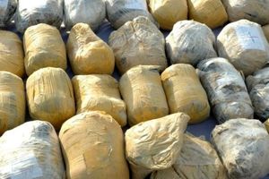 افزایش ۳۵ درصدی جرایم مربوط به مواد مخدر