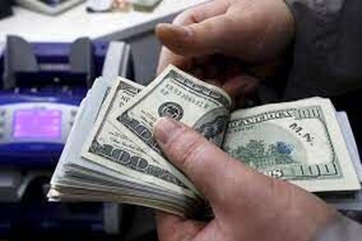 سرمایه گذار