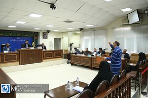 ماهیت اسناد و فاکتورها واقعی نیست/نعمت زاده: آقازادگی و دختر فلانی بودن برای من صدق ندارد