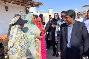 تأکید معاون عمرانی استاندار هرمزگان بر تسریع طرح‌های توسعه جزیره هنگام