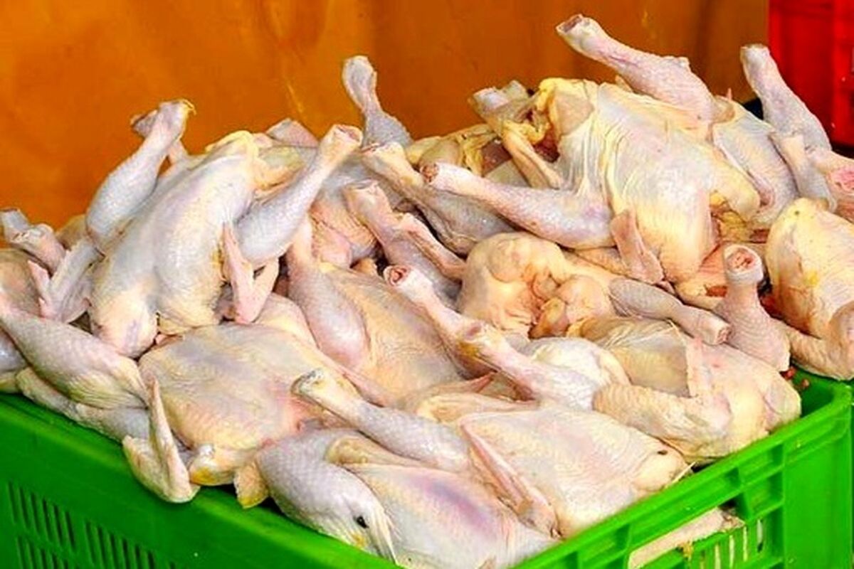 توزیع مرغ