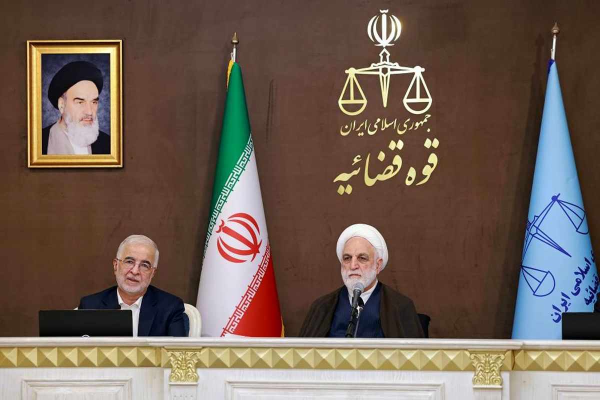 رئیس قوه قضائیه