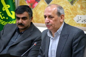 تولید برنج در آذربایجان‌شرقی به ۲۵ هزار تن می‌رسد