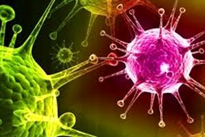 6 البرزی دیگر بر اثر کرونا جان باختند